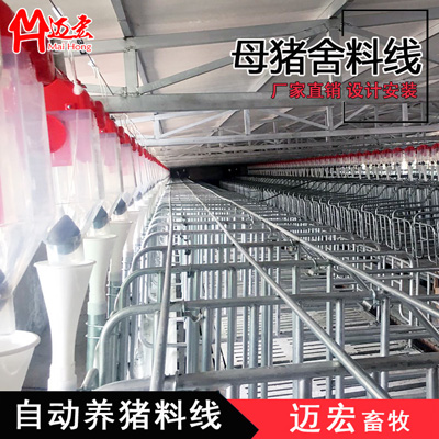 猪厂自动供料系统-猪舍料线 母猪料线